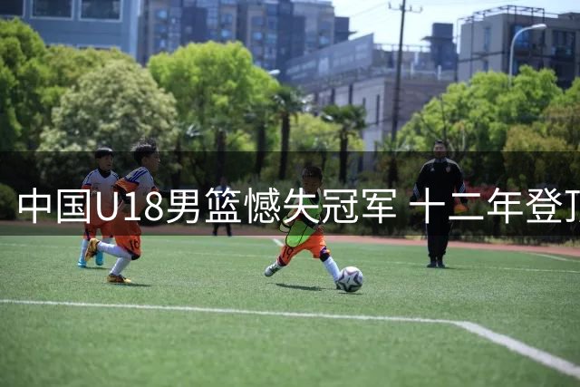 中国U18男篮憾失冠军 十二年登顶梦再延